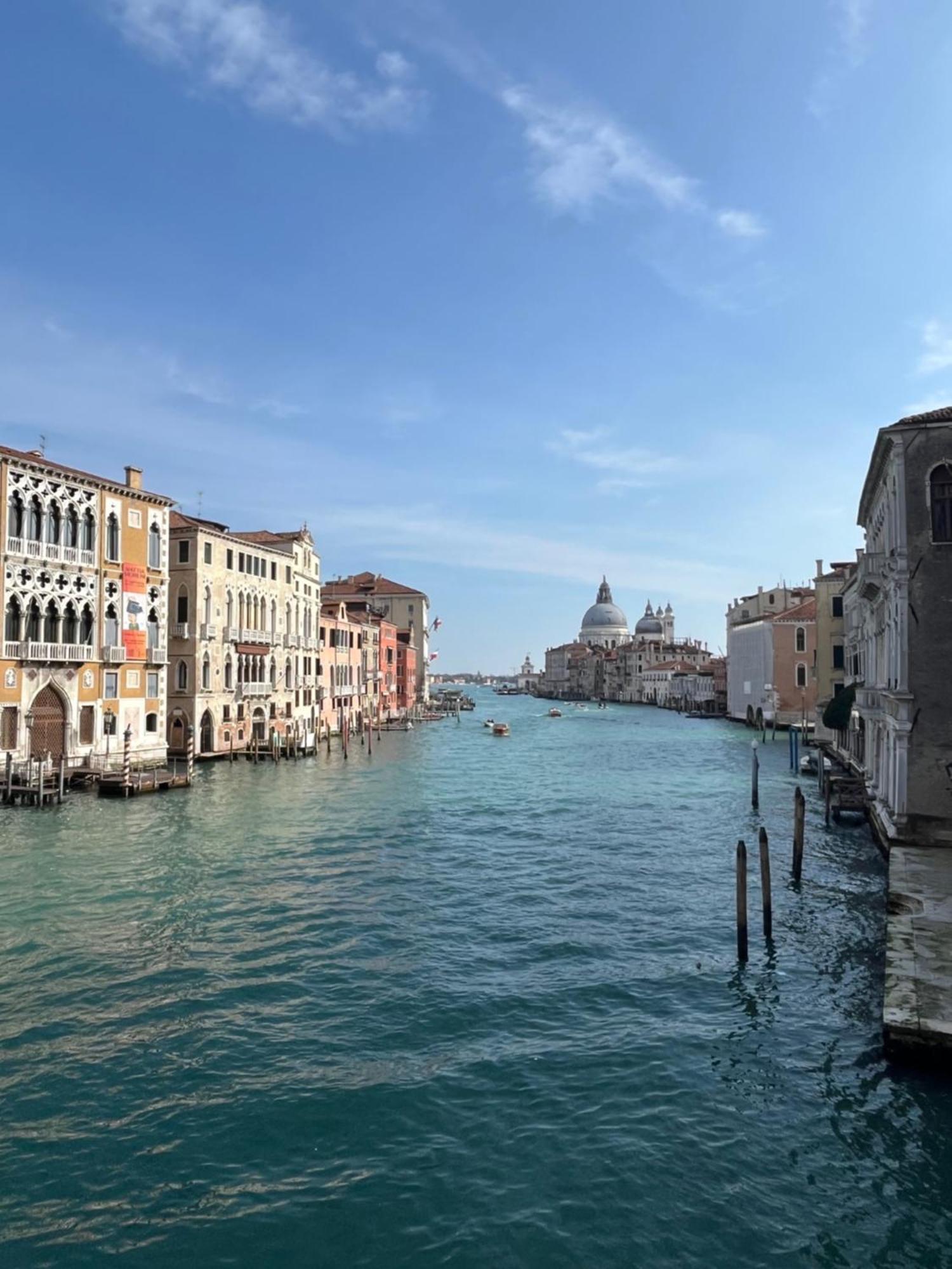 Peggy Suite Venedig Exteriör bild