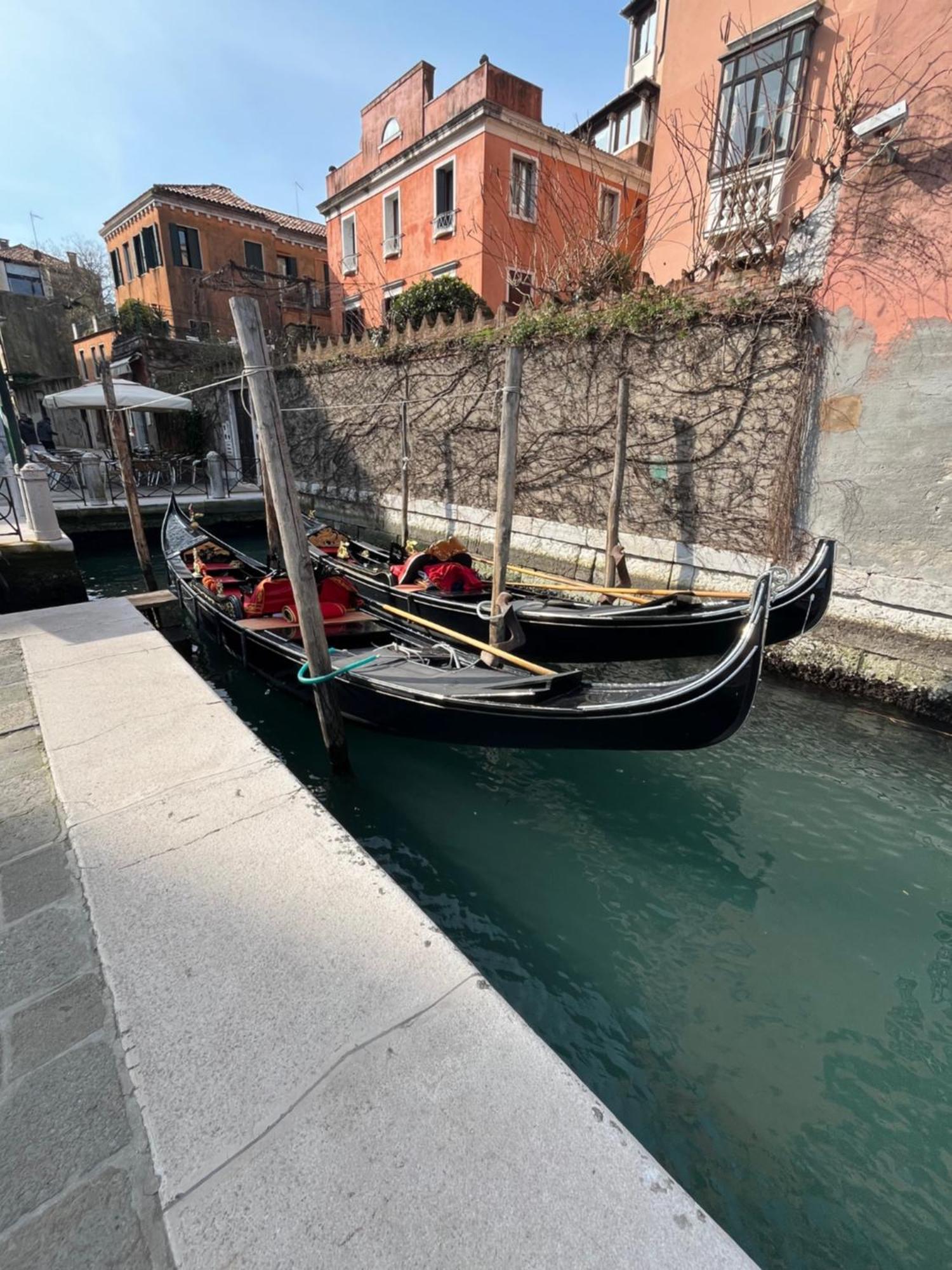 Peggy Suite Venedig Exteriör bild